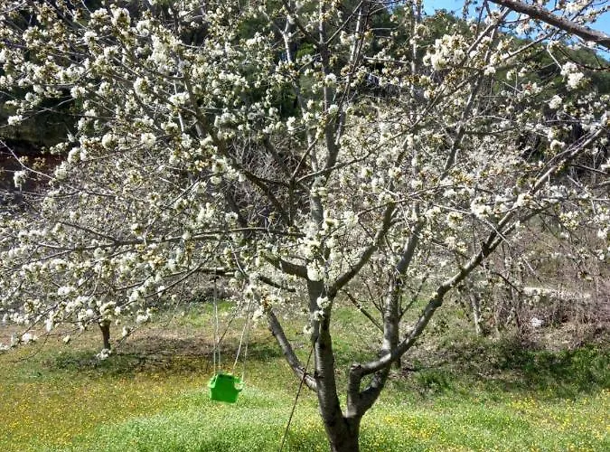 Immaculate 2-bed Near Krka Waterfalls בית נופש